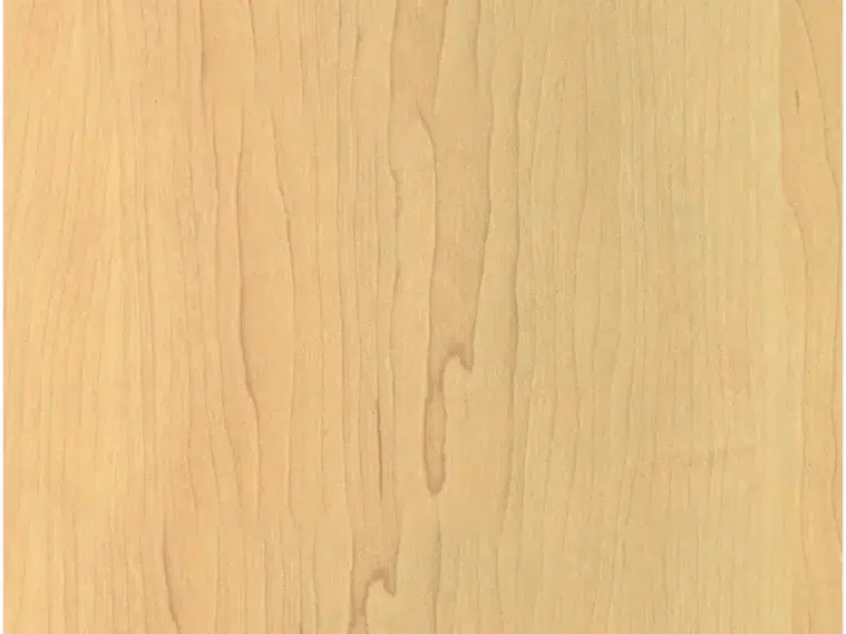 Canadian Maple