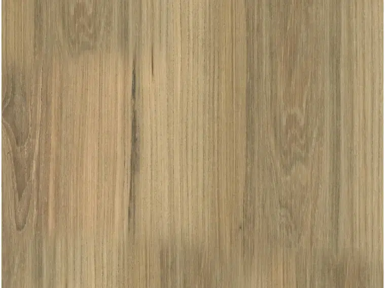 Sahara